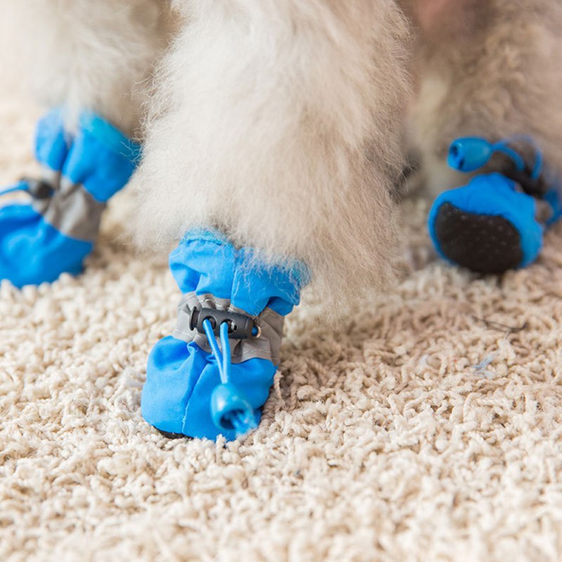 4PCS Small Dog Shoes Hiking Bo - Outdoor Camping Slippers recensione e prezzo