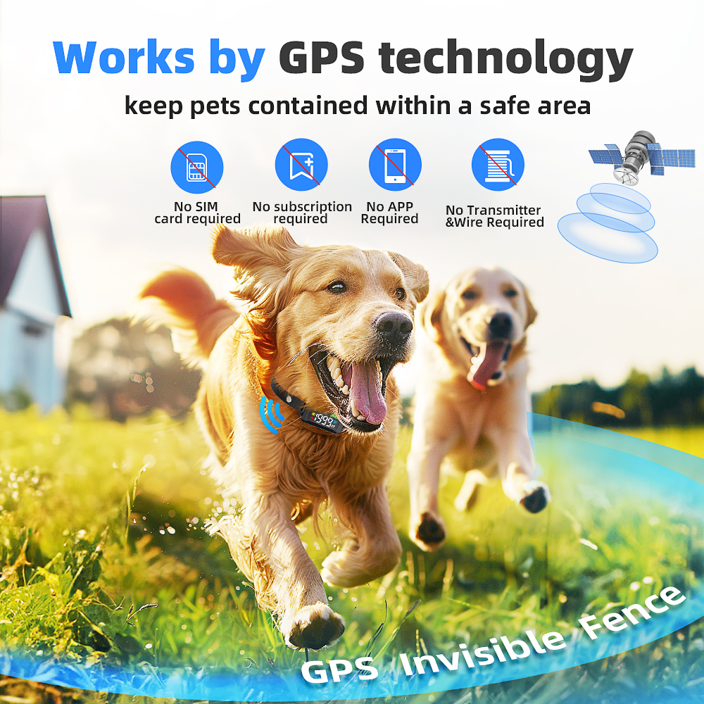 Portable Outdoor Camping IPX7  - Outdoor Camping Dog Fence recensione e prezzo